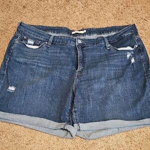 Casual Blue Jean Shorts for Women